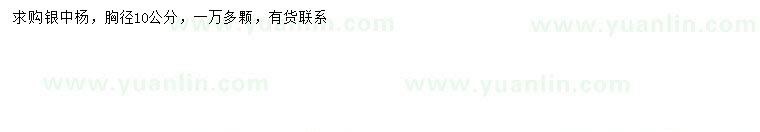 求購(gòu)胸徑 10公分銀中楊