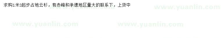 求購1.3米以上云杉