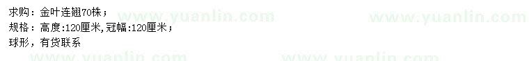 求購(gòu)高120公分金葉連翹