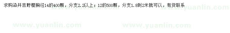 求購胸徑12、14公分染井吉野櫻