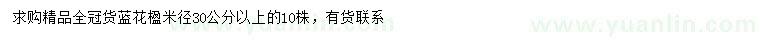 求購米徑30公分以上藍花楹