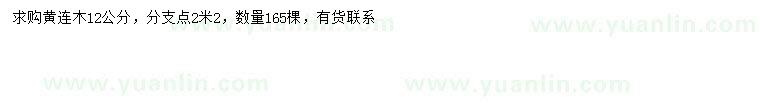 求購12公分黃連木