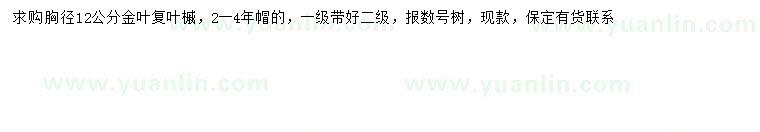 求購胸徑12公分金葉復葉槭