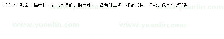 求購地徑6公分榆葉梅