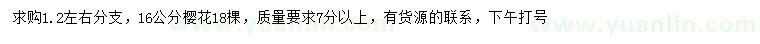 求購16公分櫻花
