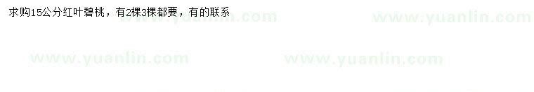 求購15公分紅葉碧桃
