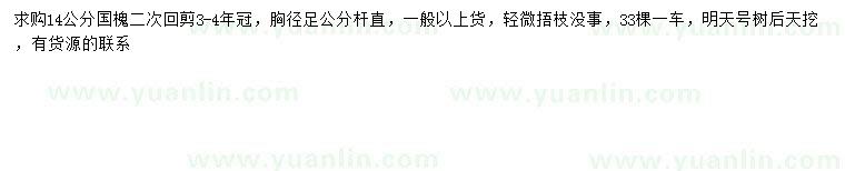 求購14公分國槐