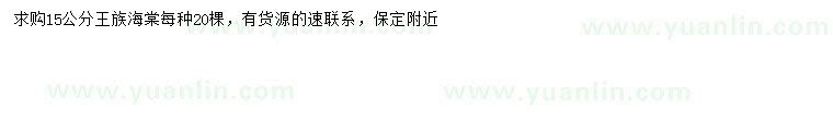 求購15公分王族海棠