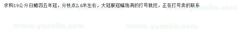 求購19公分白蠟