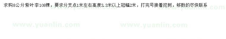 求購8公分紫葉李