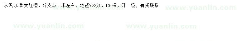 求購地徑7公分加拿大紅櫻