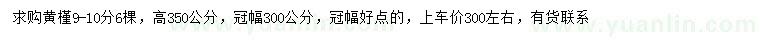 求購9-10公分黃槿