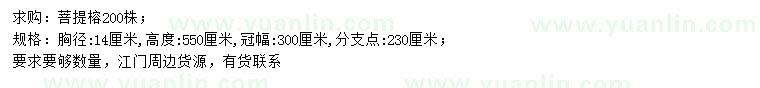 求購胸徑14公分菩提榕
