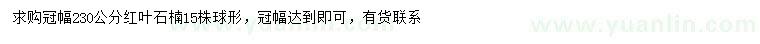 求購冠幅230公分紅葉石楠