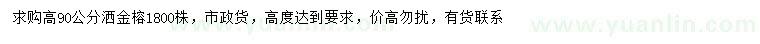求購(gòu)高90公分灑金榕