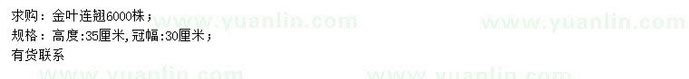 求購(gòu)高35公分金葉連翹