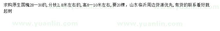 求購28-30公分國槐