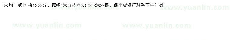求購18公分國槐