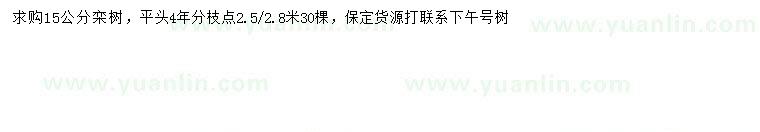 求購15公分欒樹