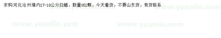 求購(gòu)17-18公分白蠟