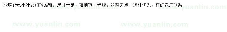 求購1.5米小葉女貞球