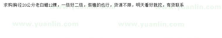 求購胸徑20公分老白蠟