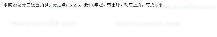 求購23公分五角楓