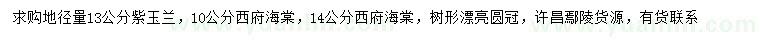 求購地徑13公分紫玉蘭、地徑10、14公分西府海棠