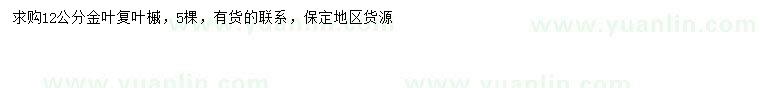 求購12公分金葉復(fù)葉槭