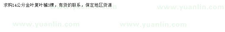 求購14公分金葉復(fù)葉槭