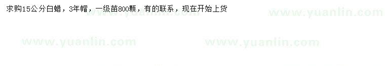 求購15公分白蠟