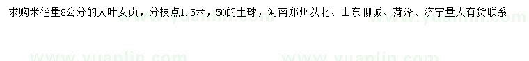 求購米徑8公分大葉女貞