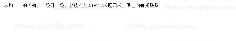 求購(gòu)20公分國(guó)槐