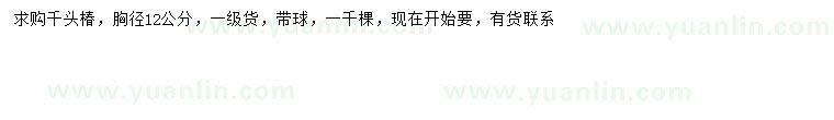 求購胸徑12公分千頭椿