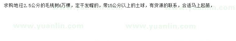 求購(gòu)地徑2.5公分毛桃