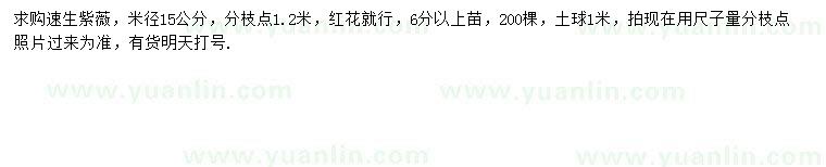 求購米徑15公分速生紫薇