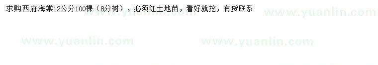 求購(gòu)12公分西府海棠