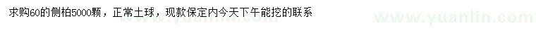 求購(gòu)60公分側(cè)柏