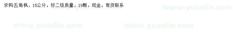 求購15公分五角楓