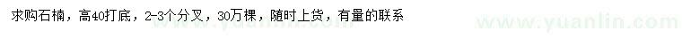 求購(gòu)高40公分以上石楠