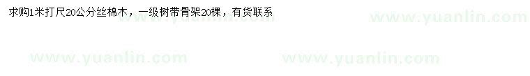求購1米量20公分絲棉木