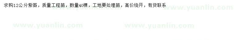 求購12公分紫薇