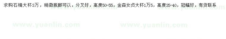 求購高50-55公分石楠、高35-40公分金森女貞