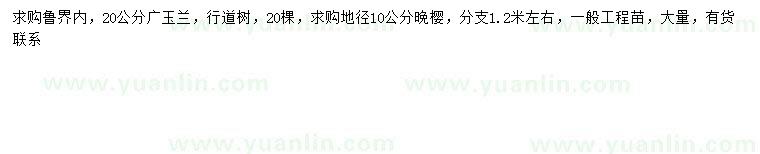 求購(gòu)20公分廣玉蘭、地徑10公分晚櫻