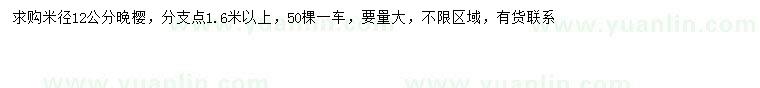 求購米徑12公分晚櫻