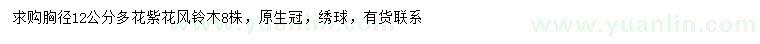 求購胸徑12公分多花紫花風(fēng)鈴木