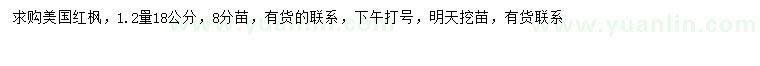 求購1.2量18公分美國紅楓