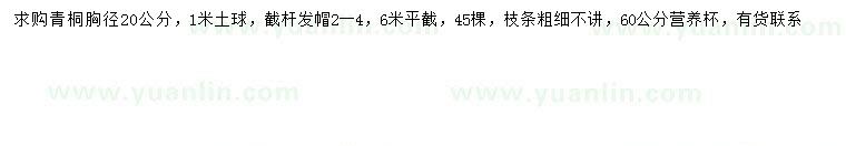 求購胸徑20公分青桐