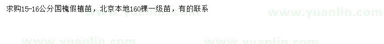 求購15-16公分國槐