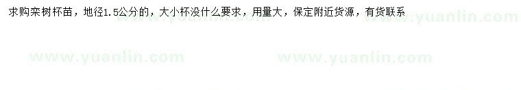 求購地徑1.5公分欒樹(shù)